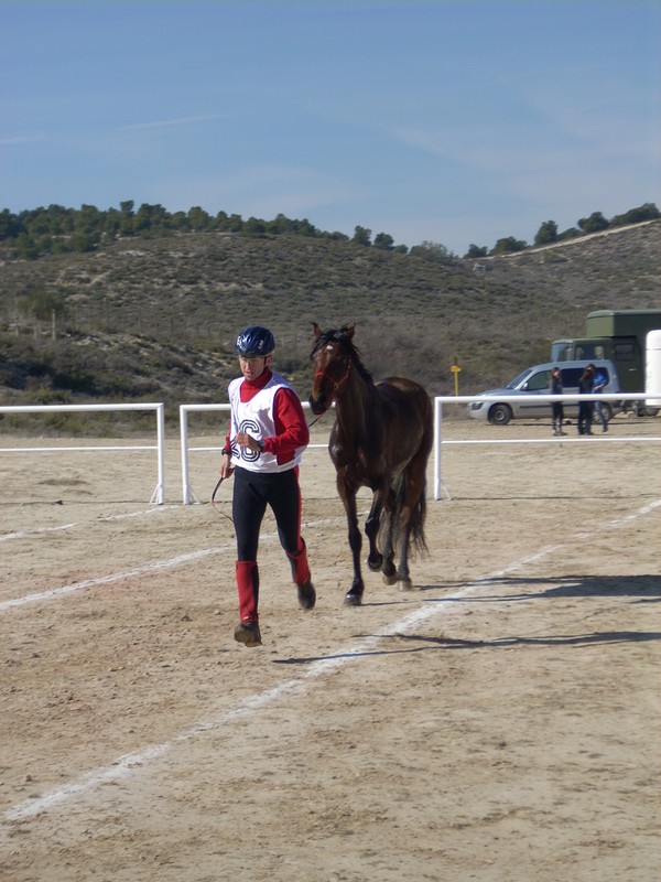 El jinete Navarro PACO AYESTARÁN, ganador del I Raid AGM en Zaragoza
